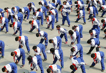 【合肥市】合肥市上城国际小学